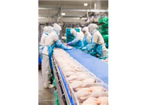 Avinatur creará 200 nuevos empleos en su planta de Purullena a lo largo de 2017